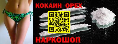 дмт Гай