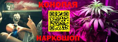 дмт Гай