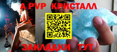 дмт Гай