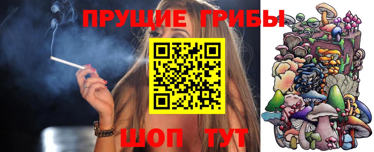 Псилоцибиновые грибы Psilocybe  Жигулёвск 